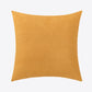 2-Pack Decorative Throw Pillow Cases