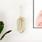 Feather Wall Hanging