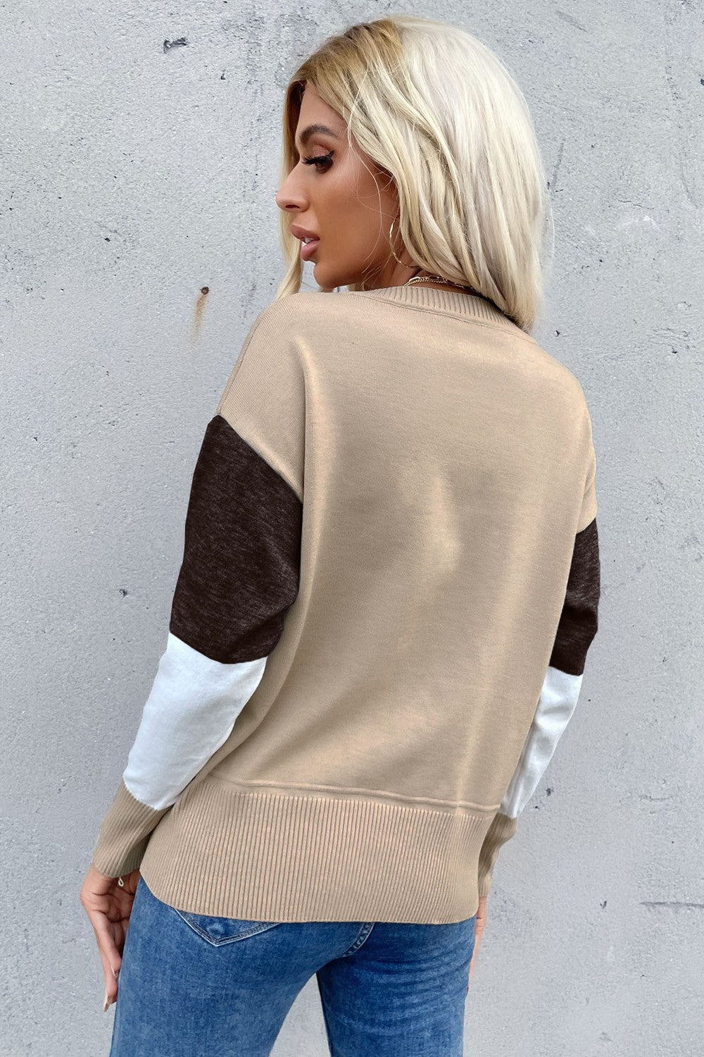 Color Block Ribbed Trim Round Neck Knit Pullover