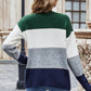 Color Block V-Neck Button Down Cardigan