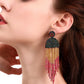 Beaded Fringe Dangle Earrings